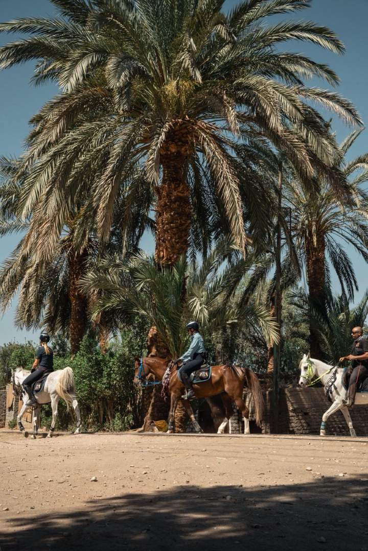 Ride Egypt