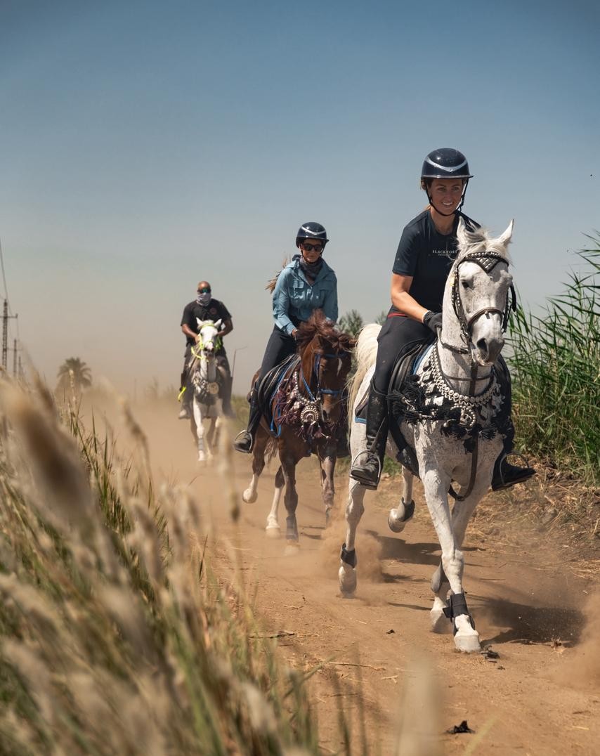 Ride Egypt
