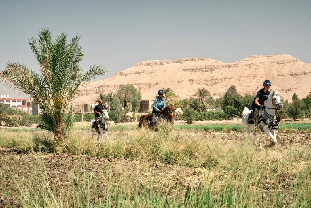 Ride Egypt