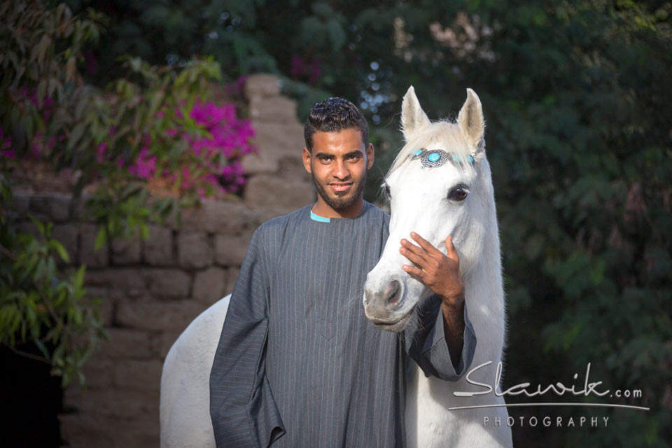 Sun Festival & Red Sea Adventures