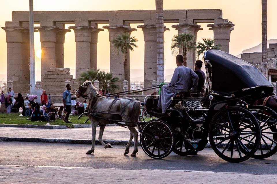 Sun Festival & Red Sea Adventures