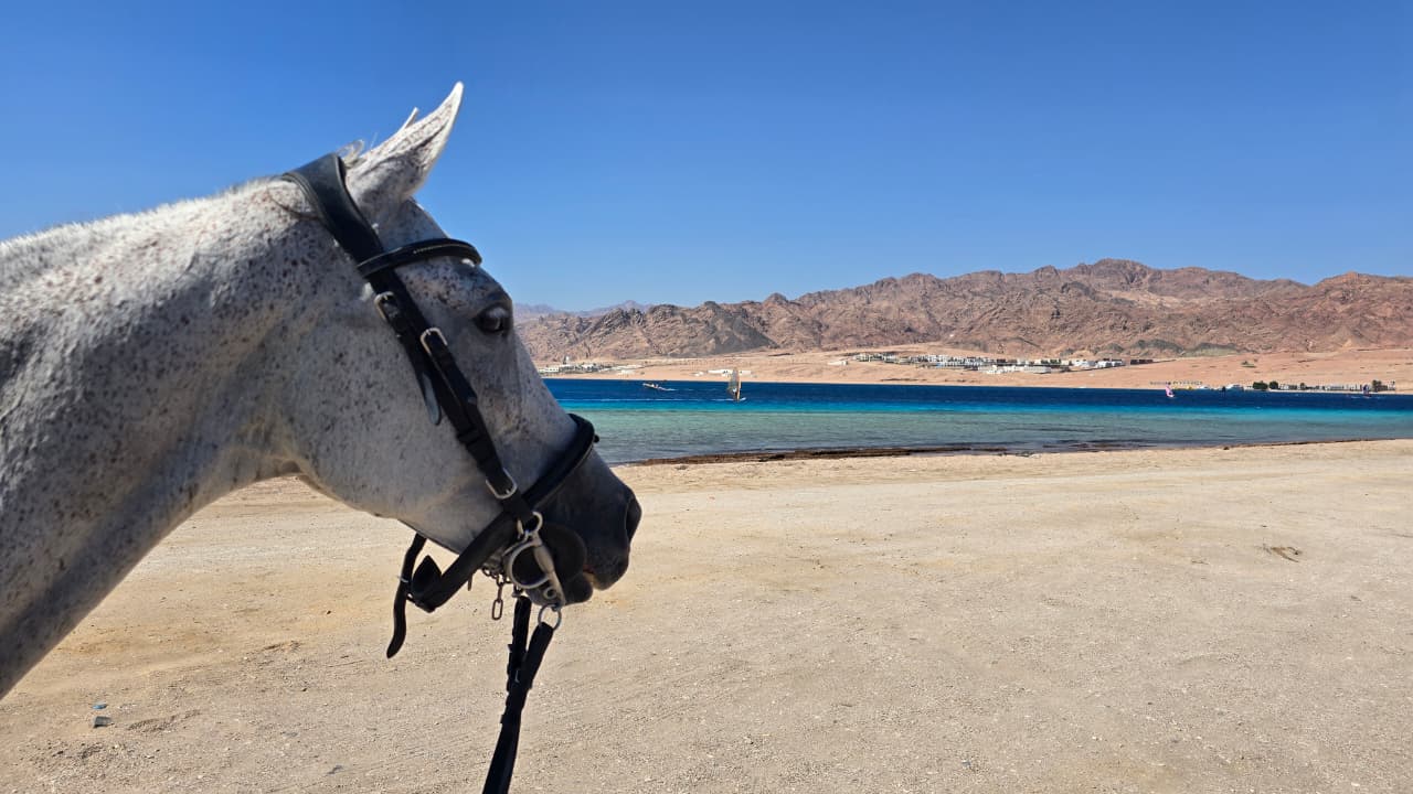 Ride Egypt
