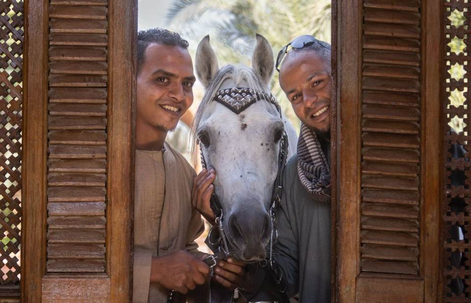 Ahmed & Papa Yousef - Stable Facilities - Head of Horse Care + Welfare