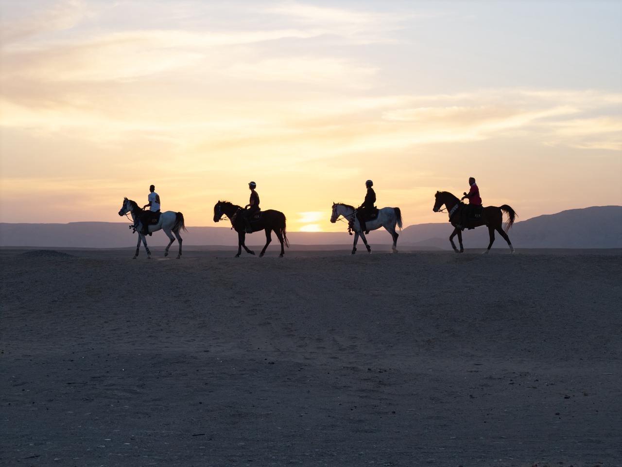 Ride Egypt