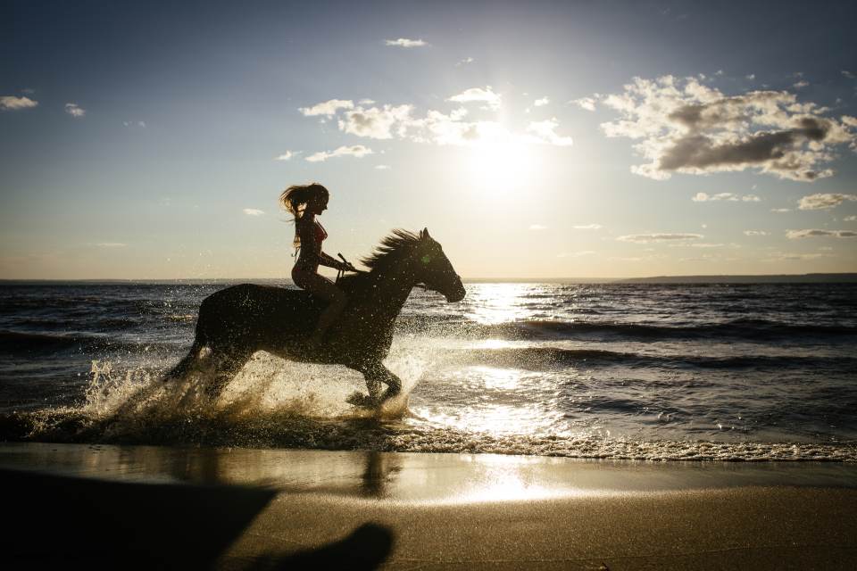 Ride Egypt