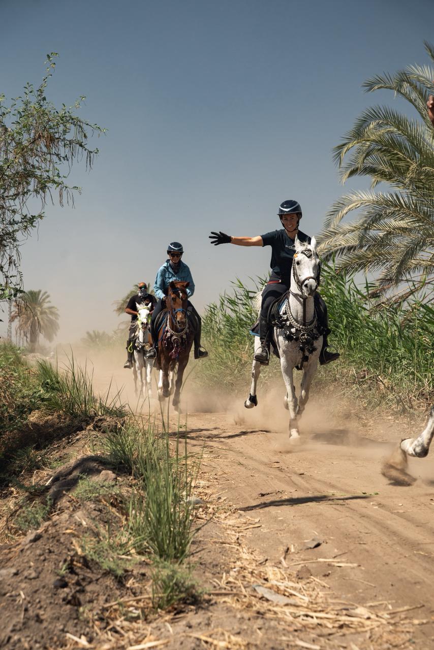 Ride Egypt