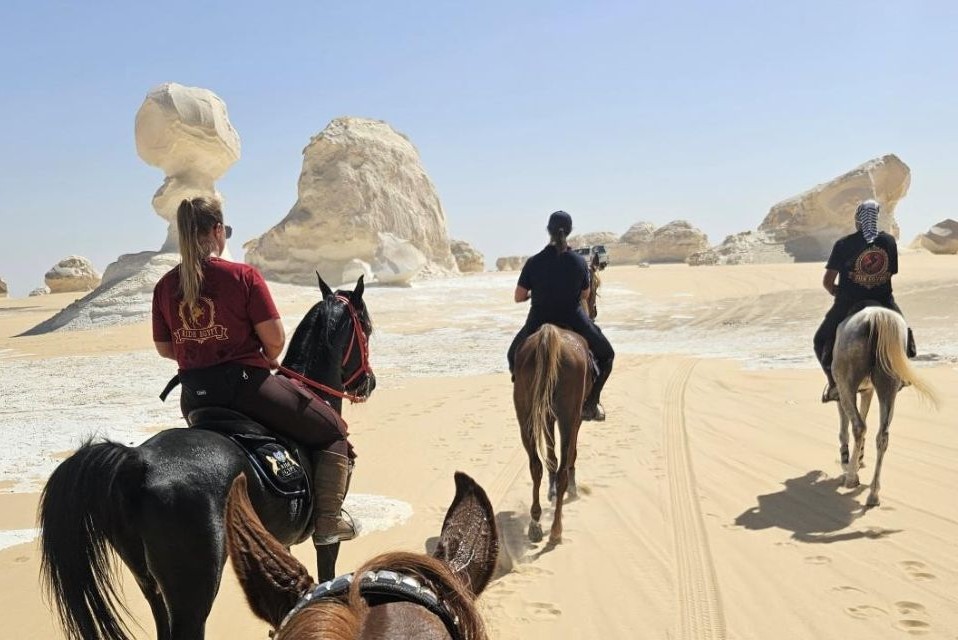 Ride Egypt