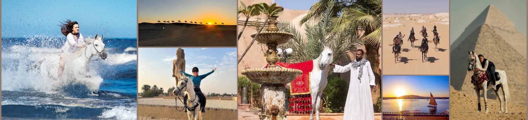 Ride Egypt