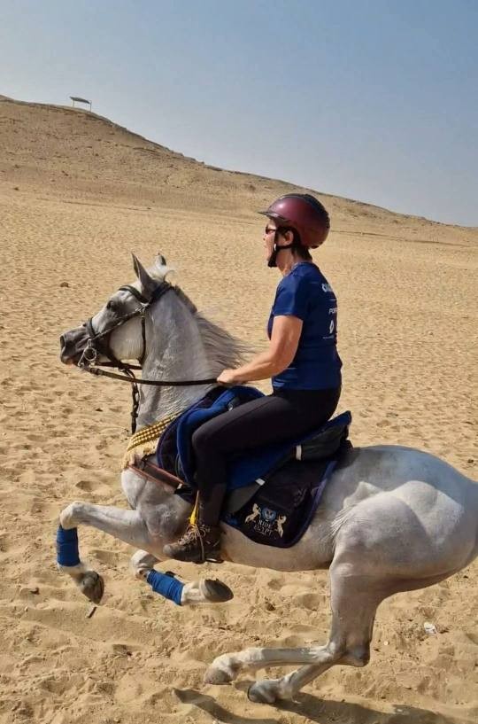 Ride Egypt