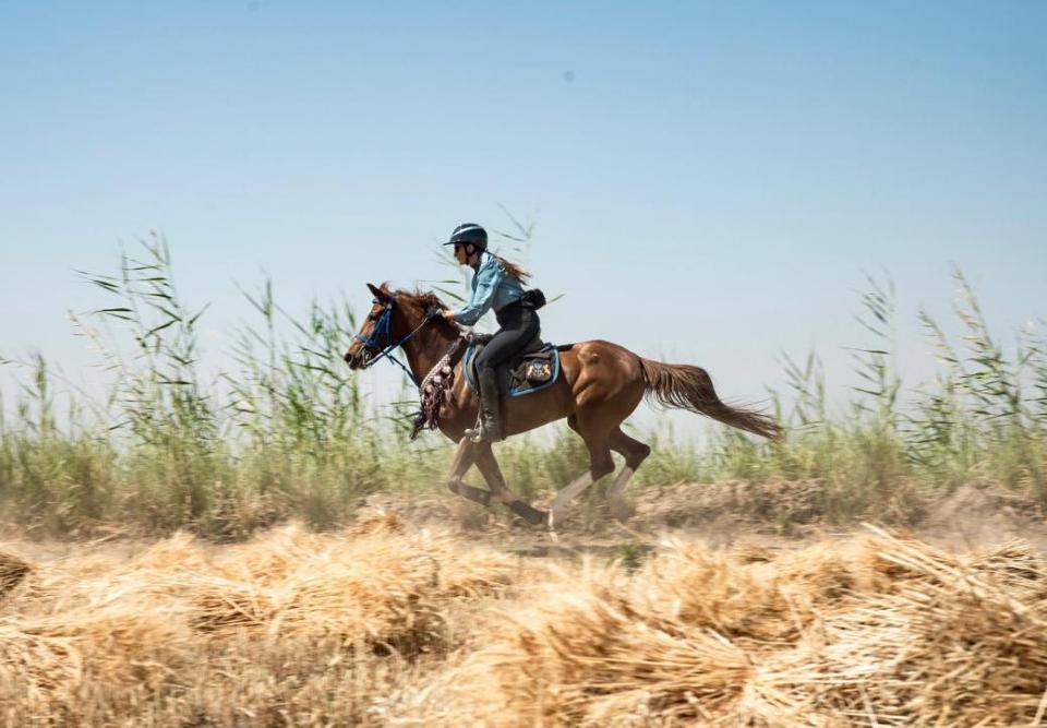 Ride Egypt